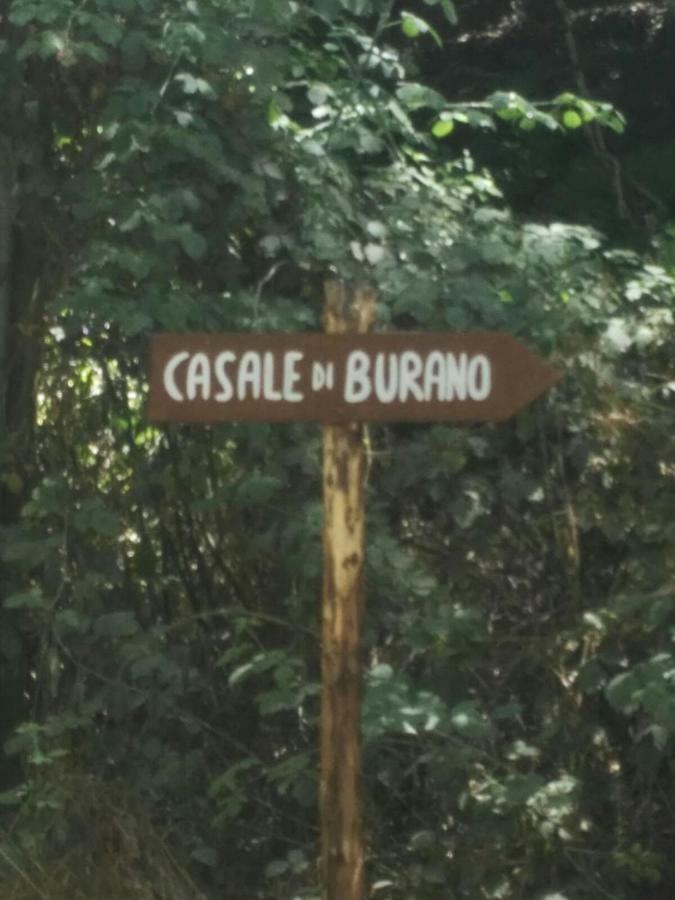 דירות Onano Casale Di Burano מראה חיצוני תמונה