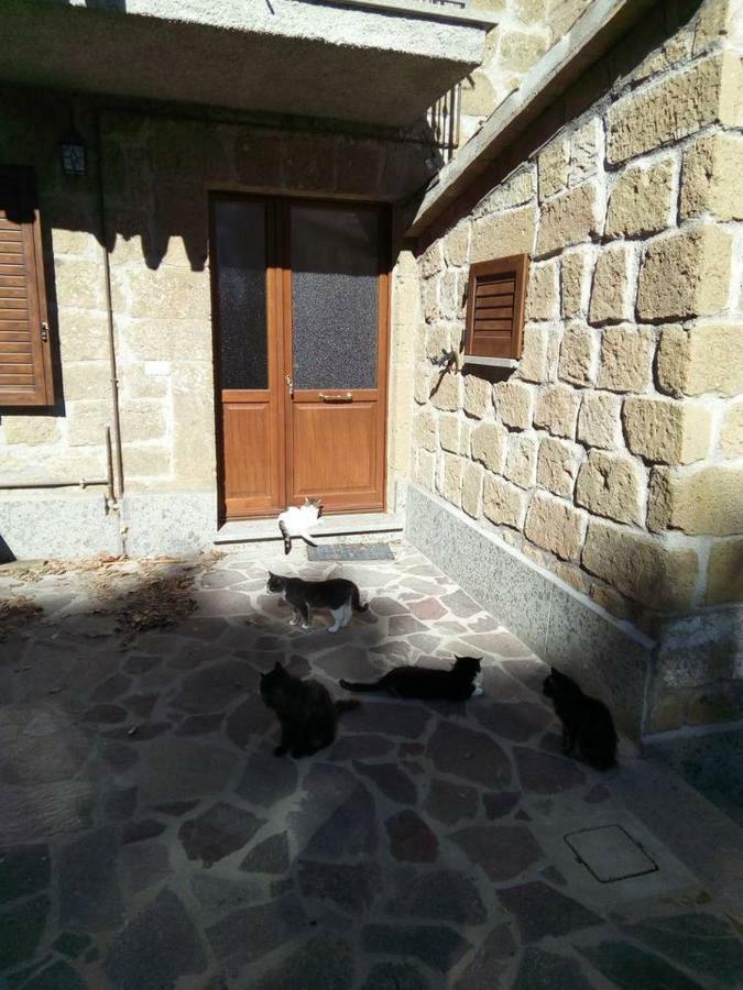 דירות Onano Casale Di Burano מראה חיצוני תמונה